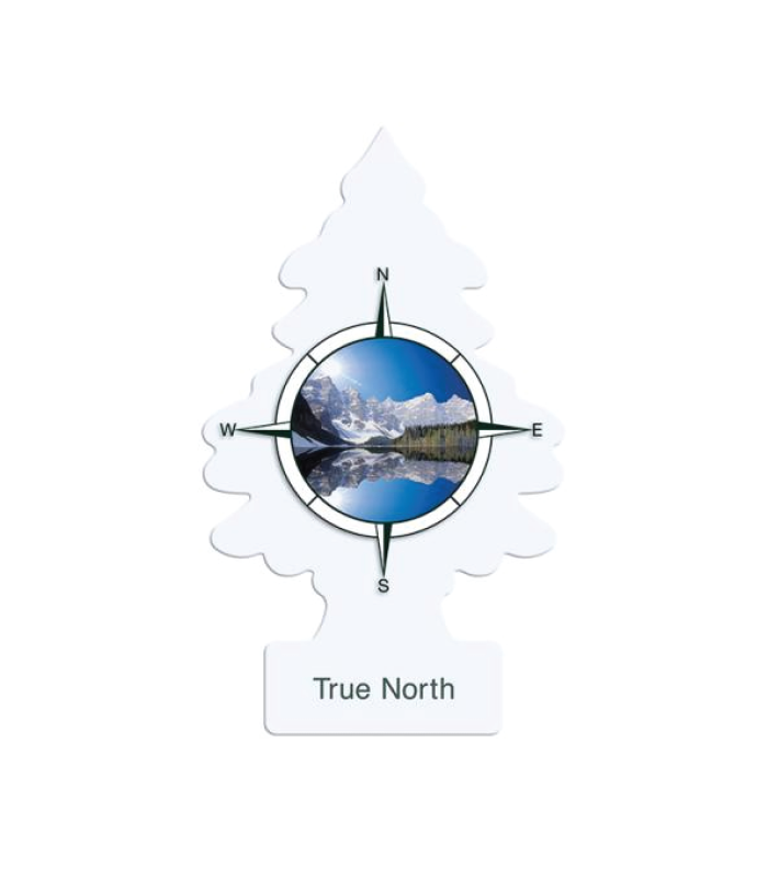 true-north-little-trees Désodorisant à suspendre Little Trees "True North" (24x 1-pack) – Image 1